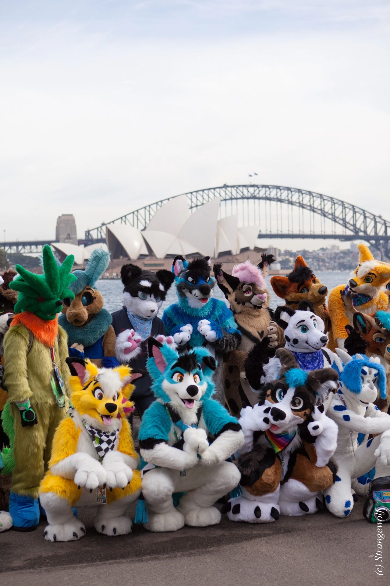 full image IMG_4274-lr19t.jpg