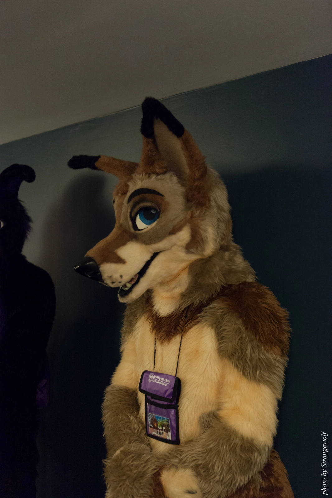 full image IMG_8768-lr16t.jpg