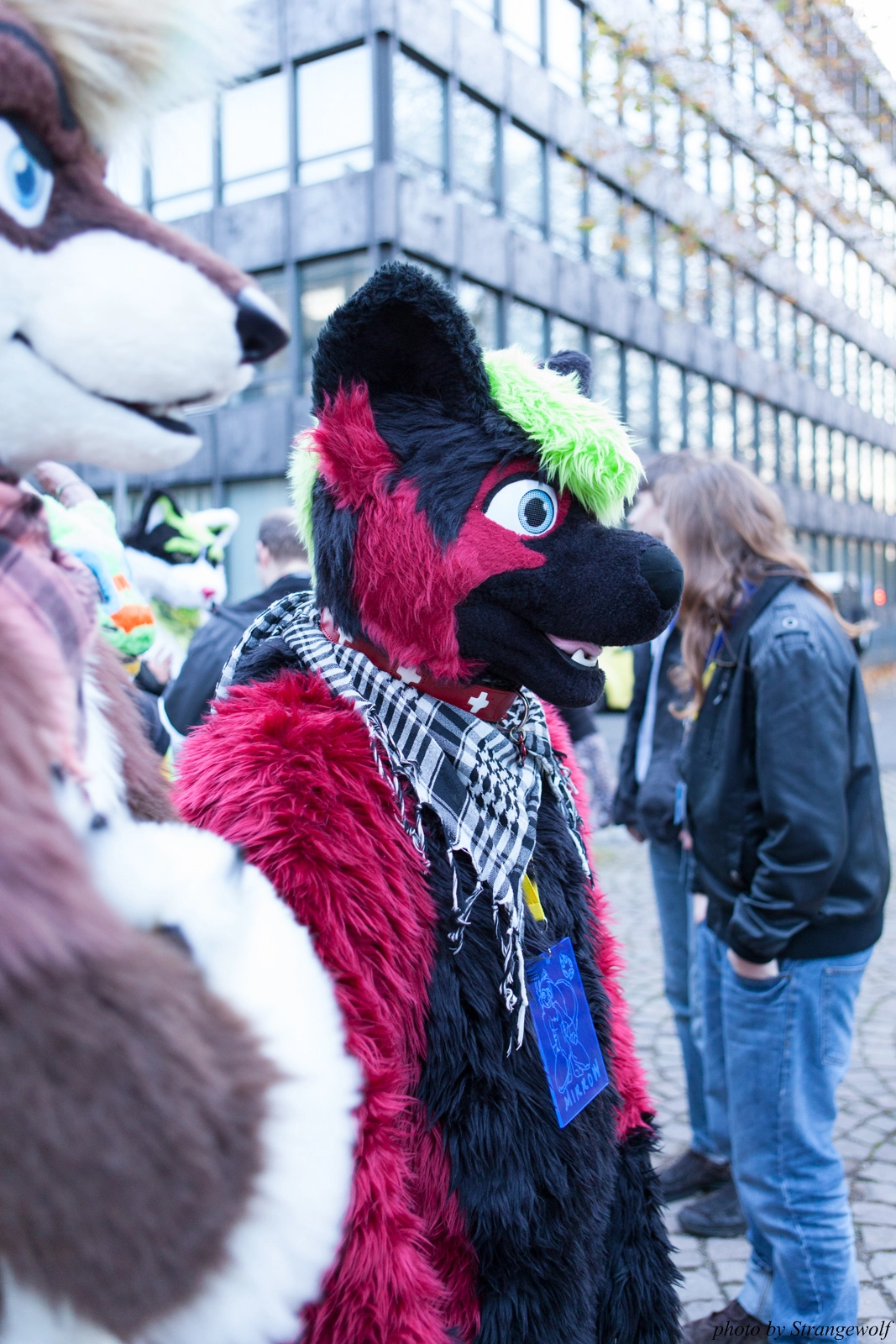 full image IMG_5340-lr16t.jpg