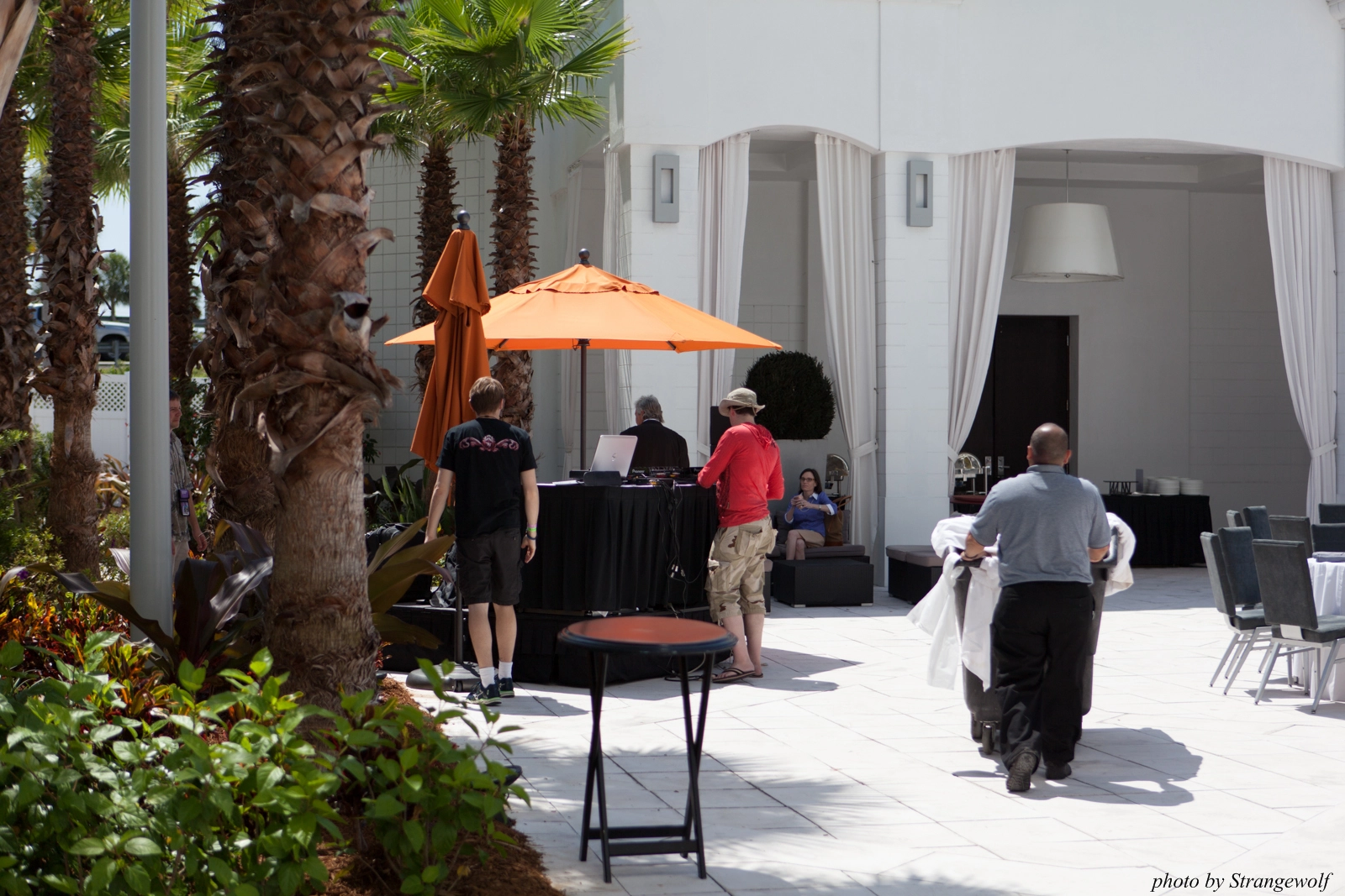 full image IMG_8782-lr16t.jpg