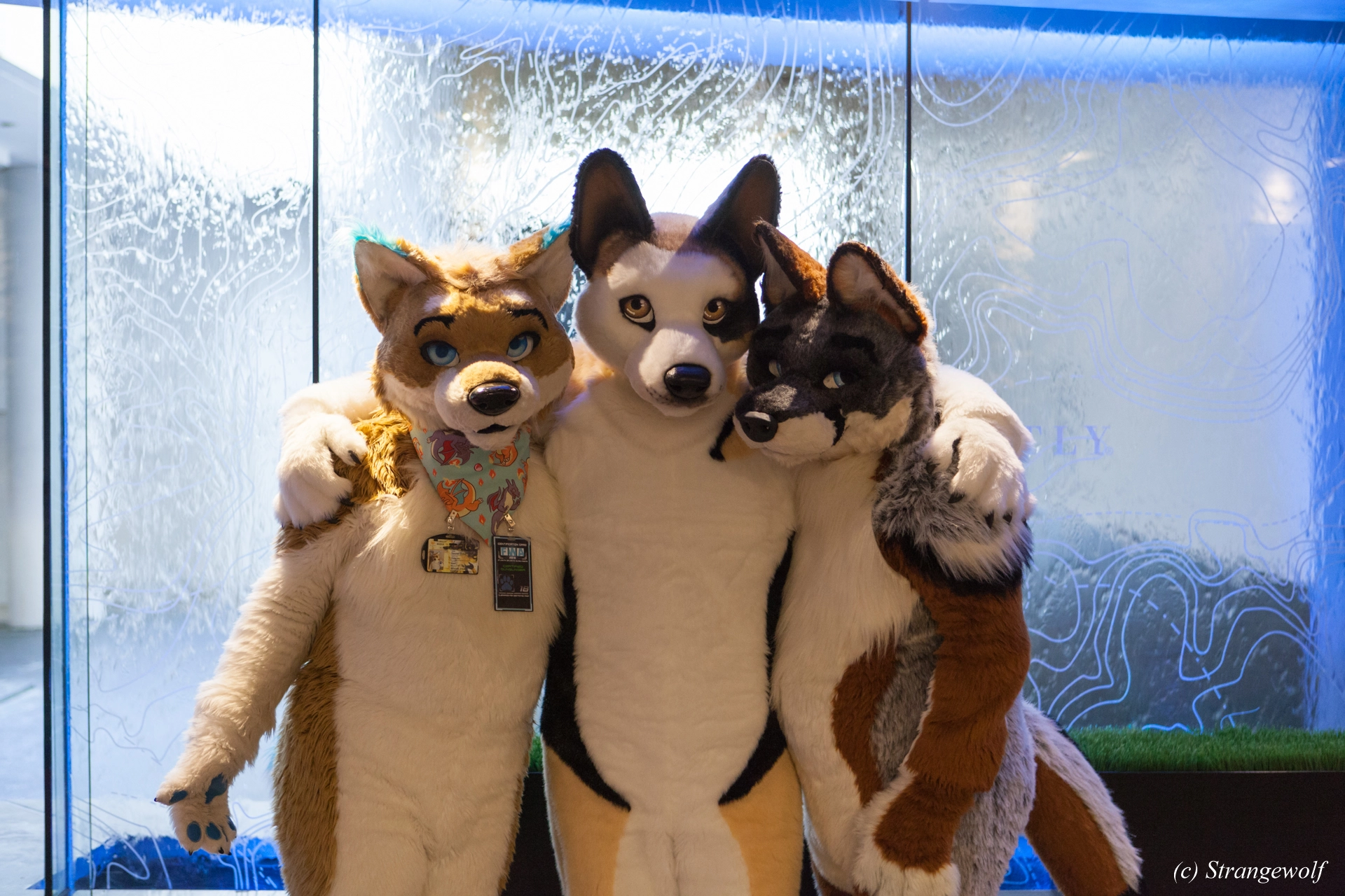 full image IMG_1648-lr19t.jpg