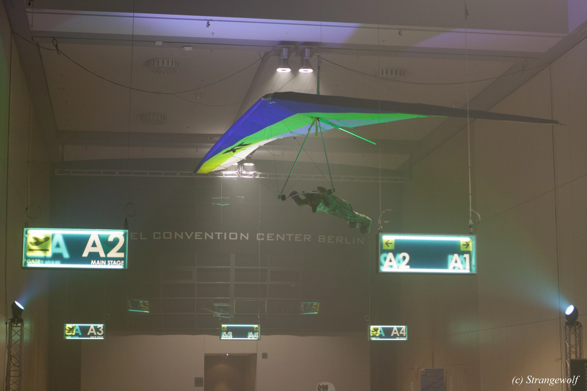 full image IMG_5014-lr19t.jpg