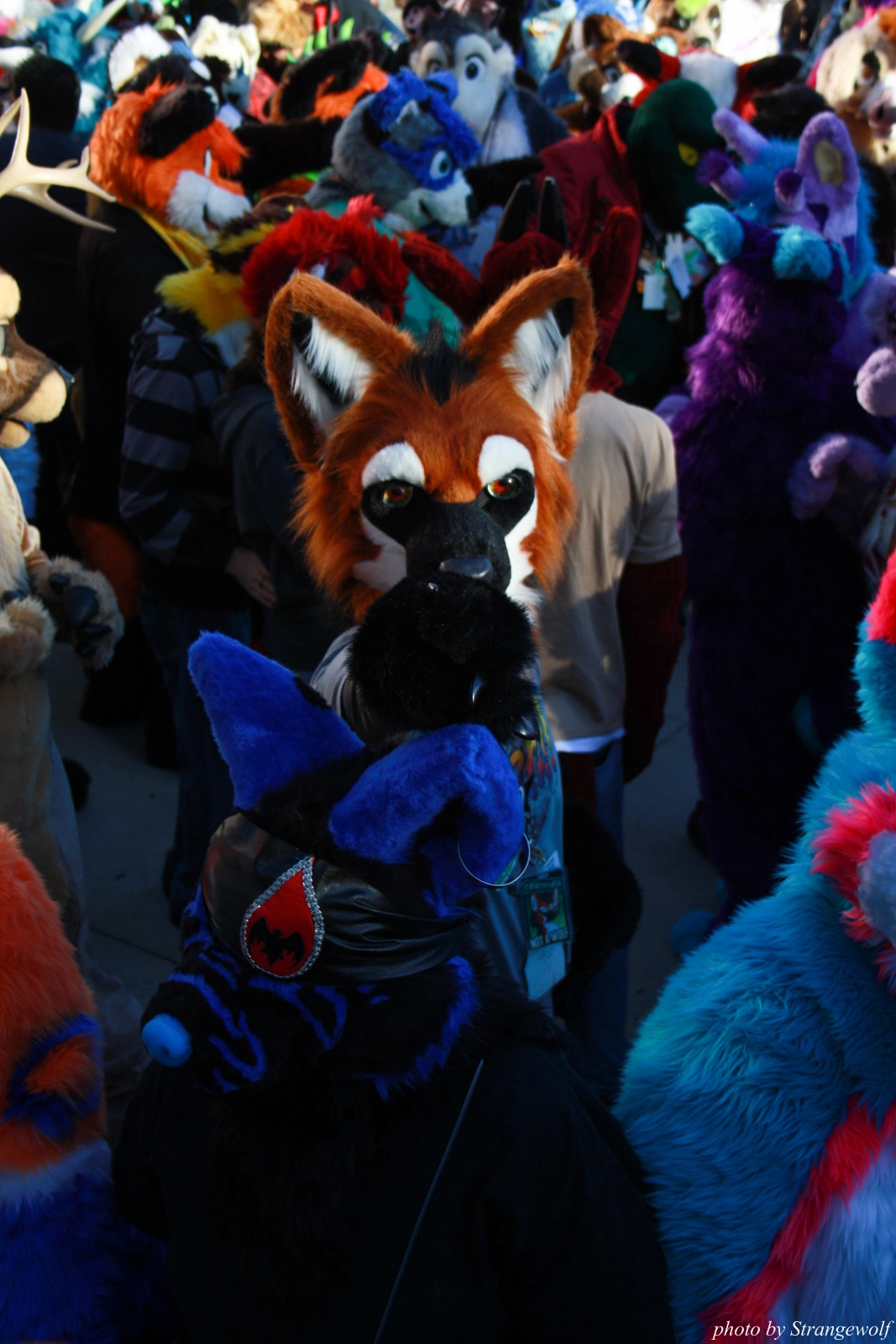 full image IMG_0697-lr.jpg