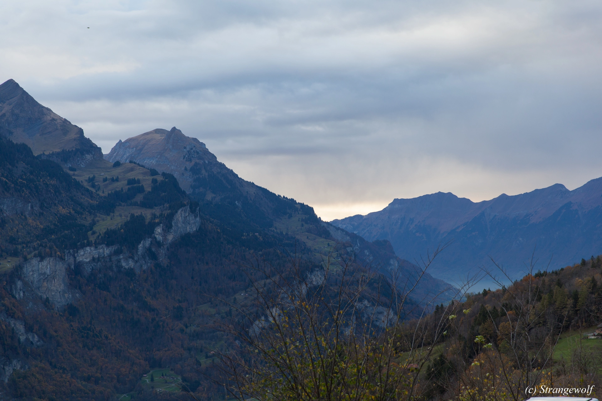 full image IMG_0741-lr19t.jpg