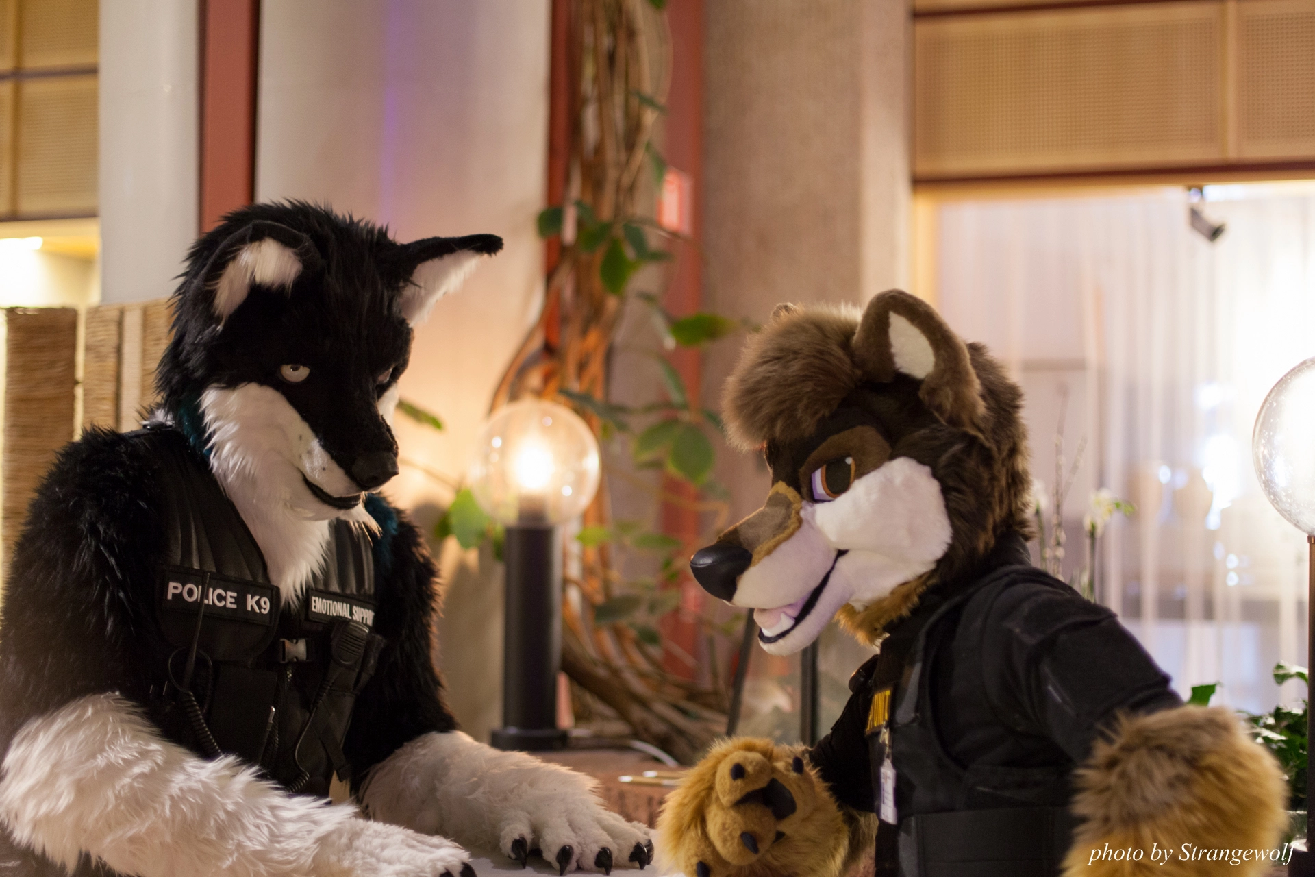 full image IMG_0756-lr19t.jpg