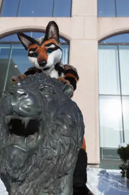 IMG_0057-lr19t.jpg of NFC/NFC2018/