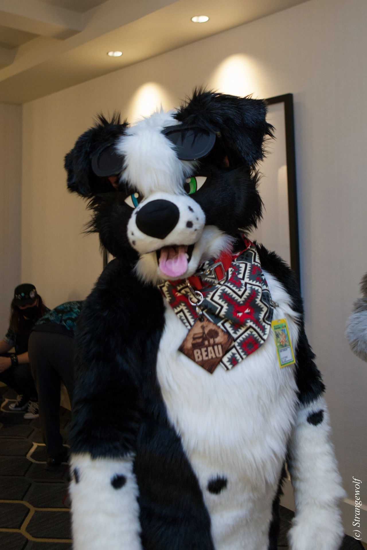full image IMG_2733-lr19t.jpg