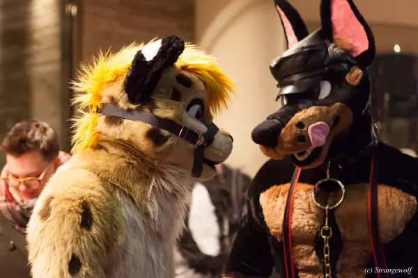 IMG_6894-lr19t.jpg of MFF/MFF2018/
