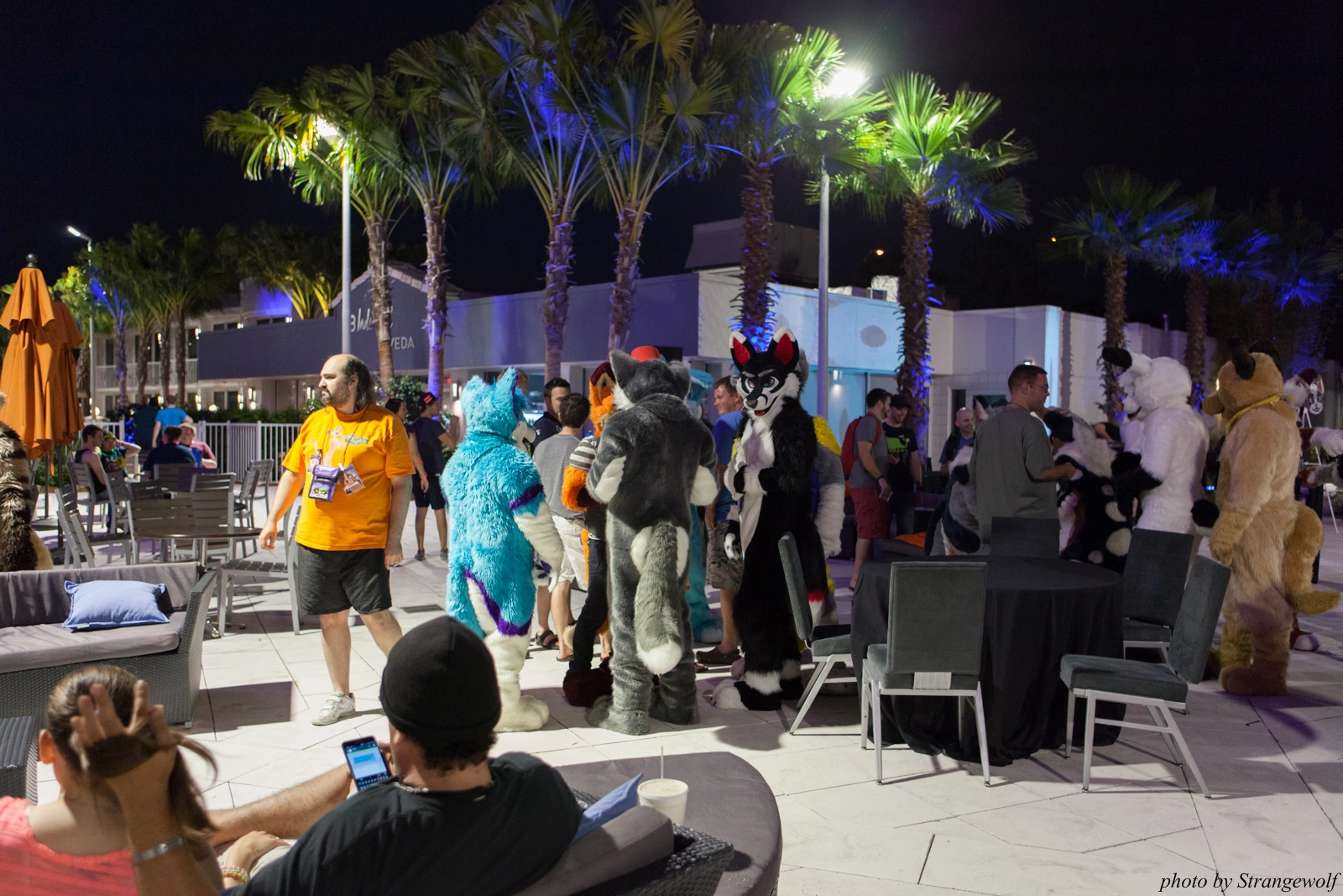 full image IMG_8552-lr16t.jpg