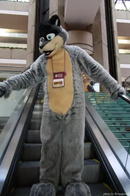 IMG_0944-lr.jpg of MFF/MFF2013/