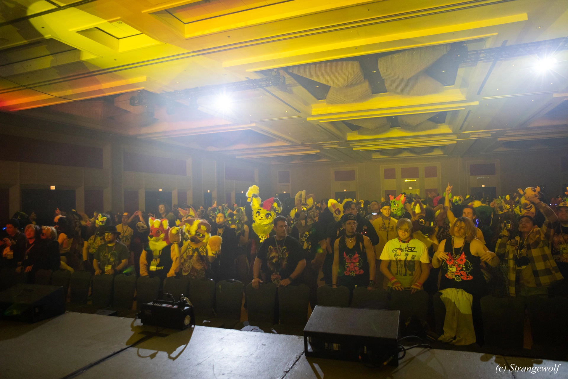 full image 1R3A0363-lr19t.jpg