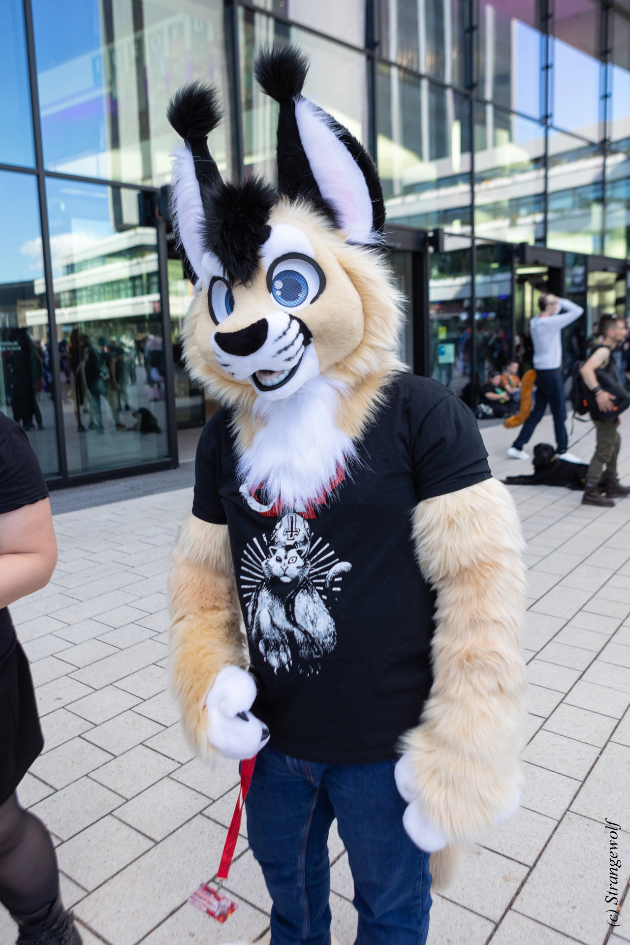 full image 1R3A9259-lr19t.jpg