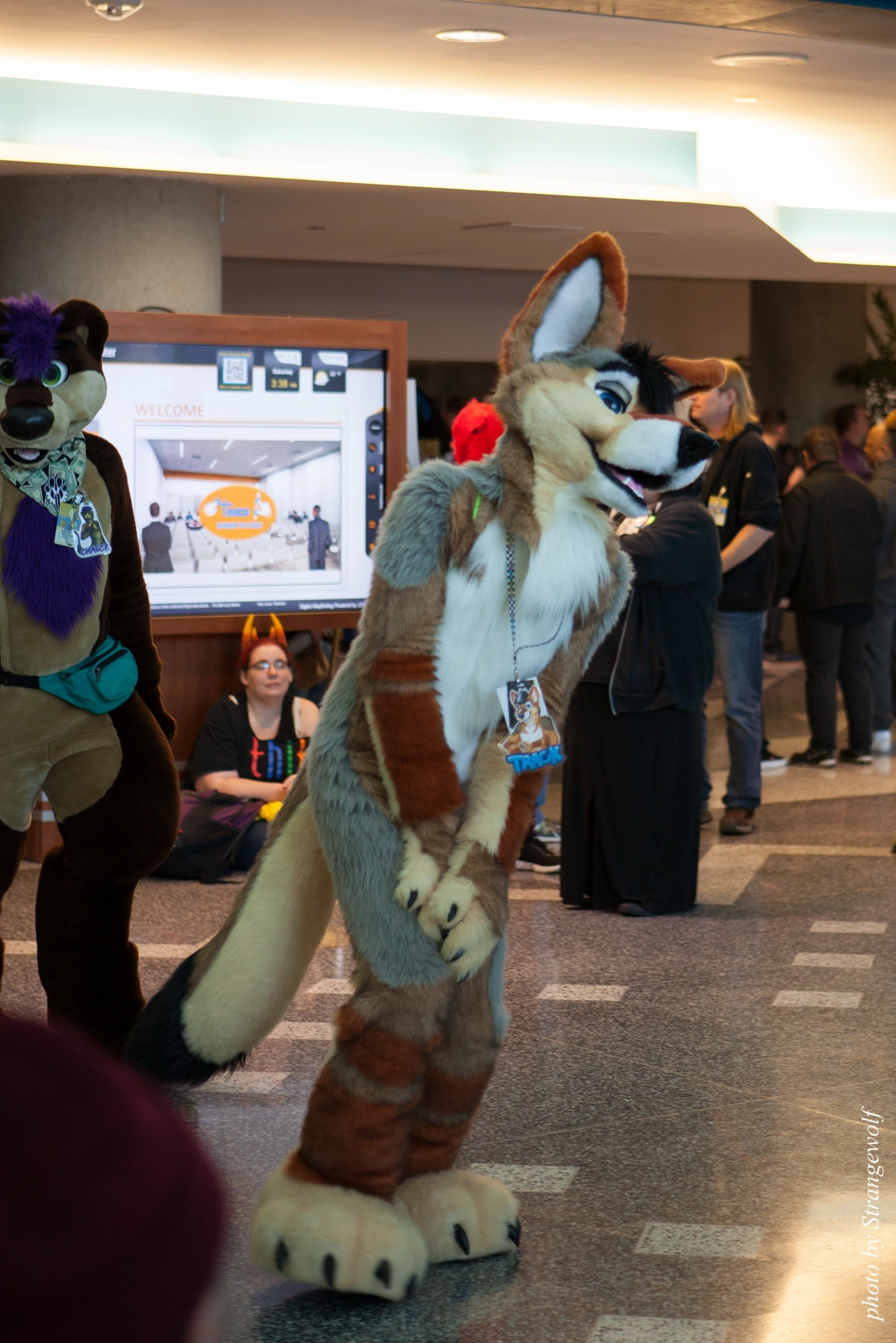 full image IMG_1062-lr16t.jpg