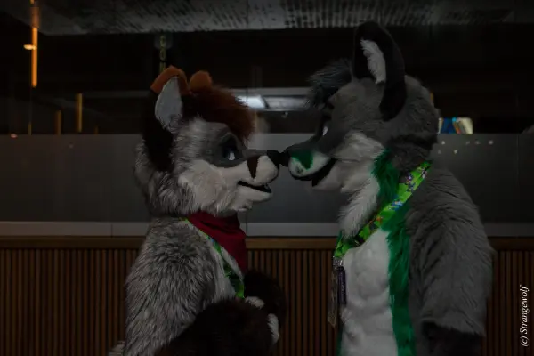 IMG_8231-lr19t.jpg of NFC/NFC2020/