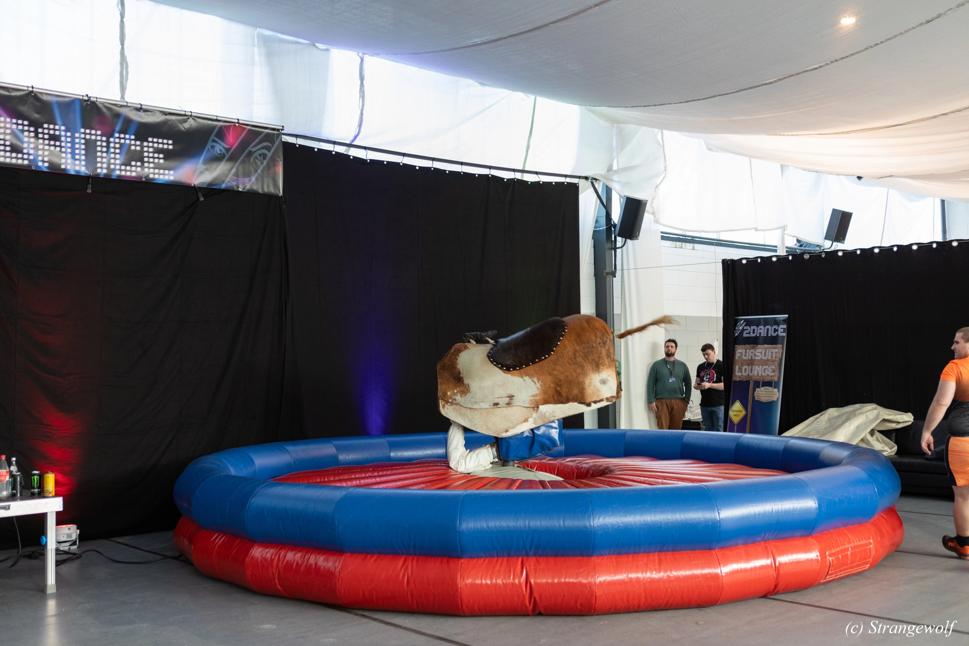 full image 1R3A7482-lr19t.jpg