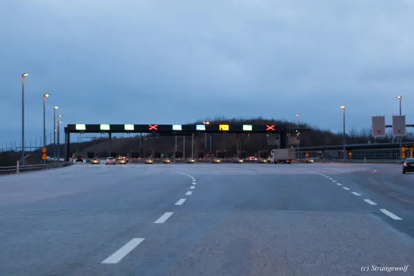 IMG_0014-lr19t.jpg of NFC/NFC2019/