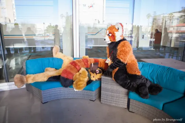 IMG_1022-lr16t.jpg of FC/FC2017/