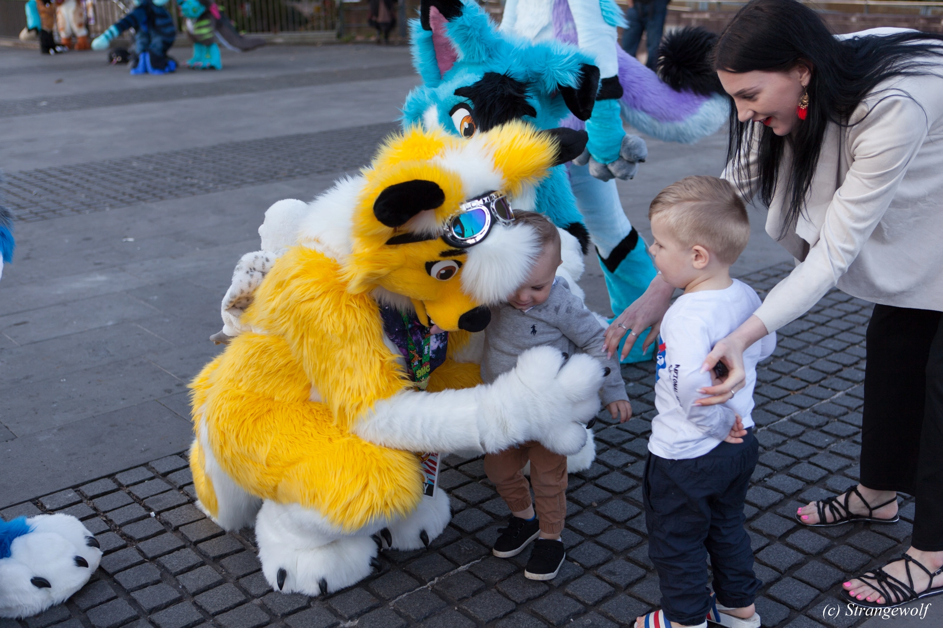 full image IMG_4654-lr19t.jpg