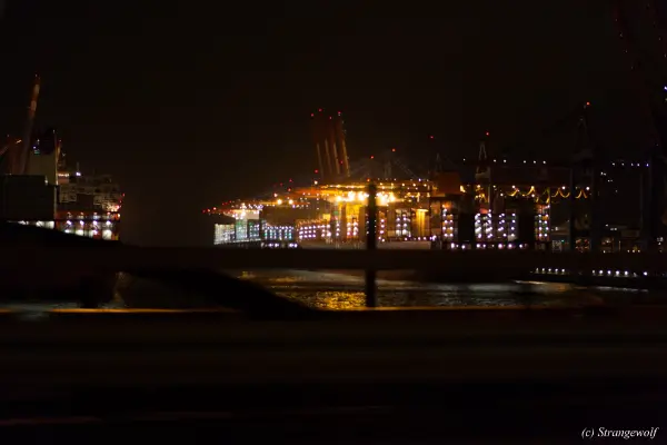 IMG_0109-lr19t.jpg of NFC/NFC2019/