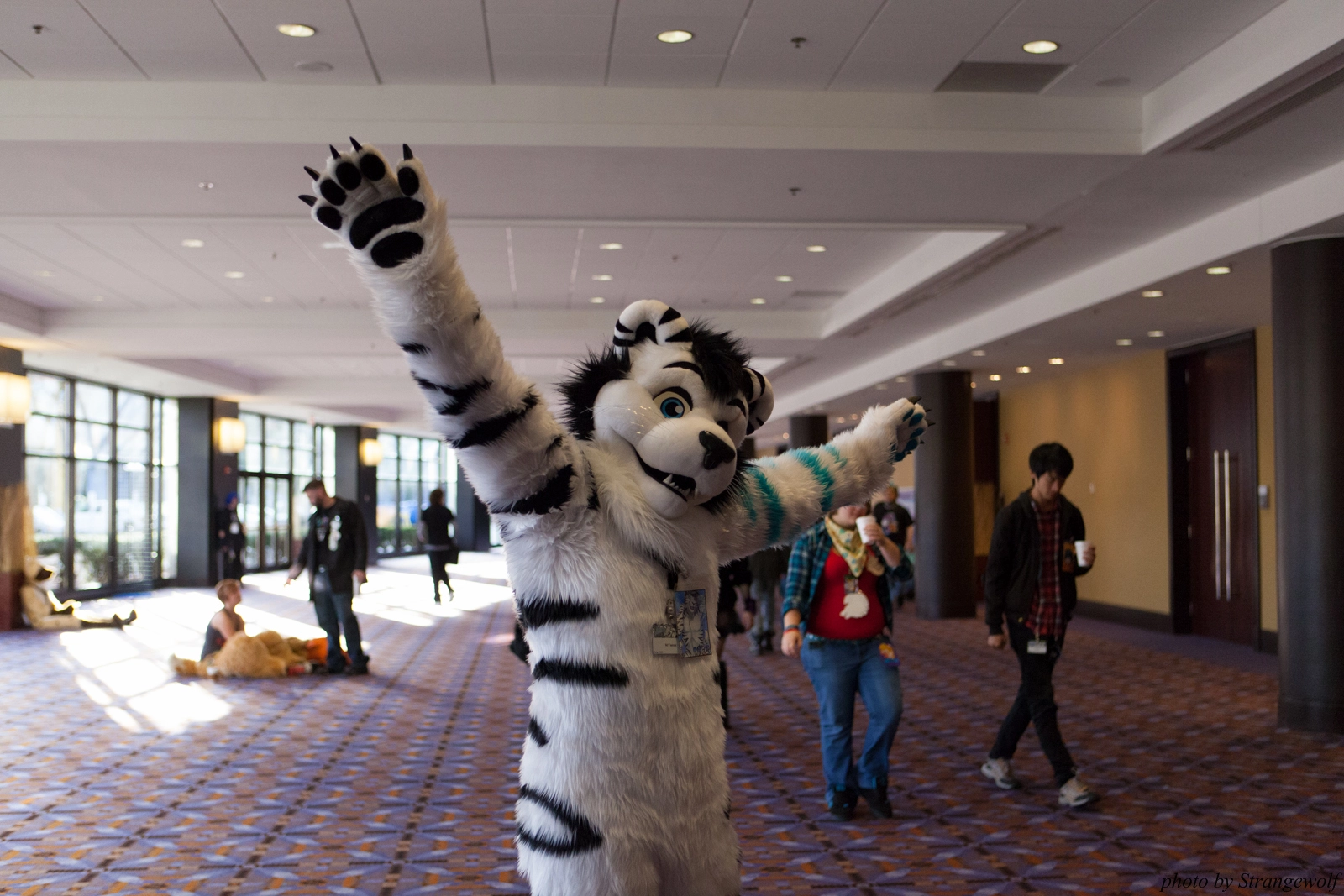full image IMG_5991-lr16t.jpg