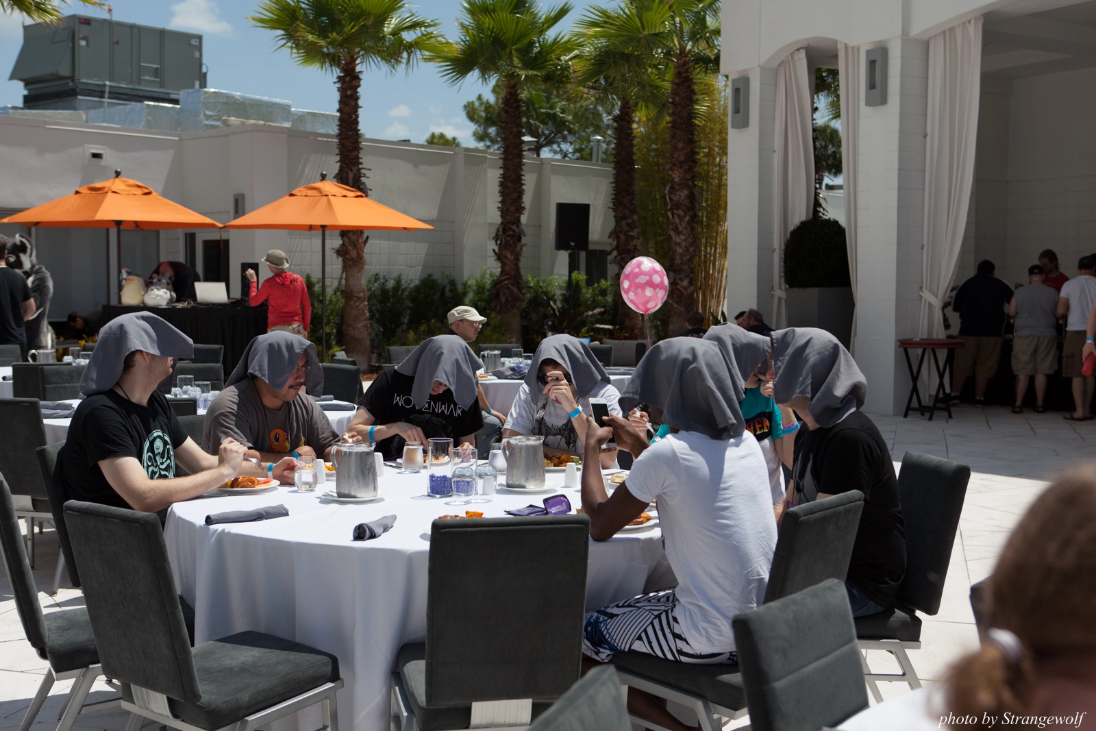 full image IMG_8790-lr16t.jpg