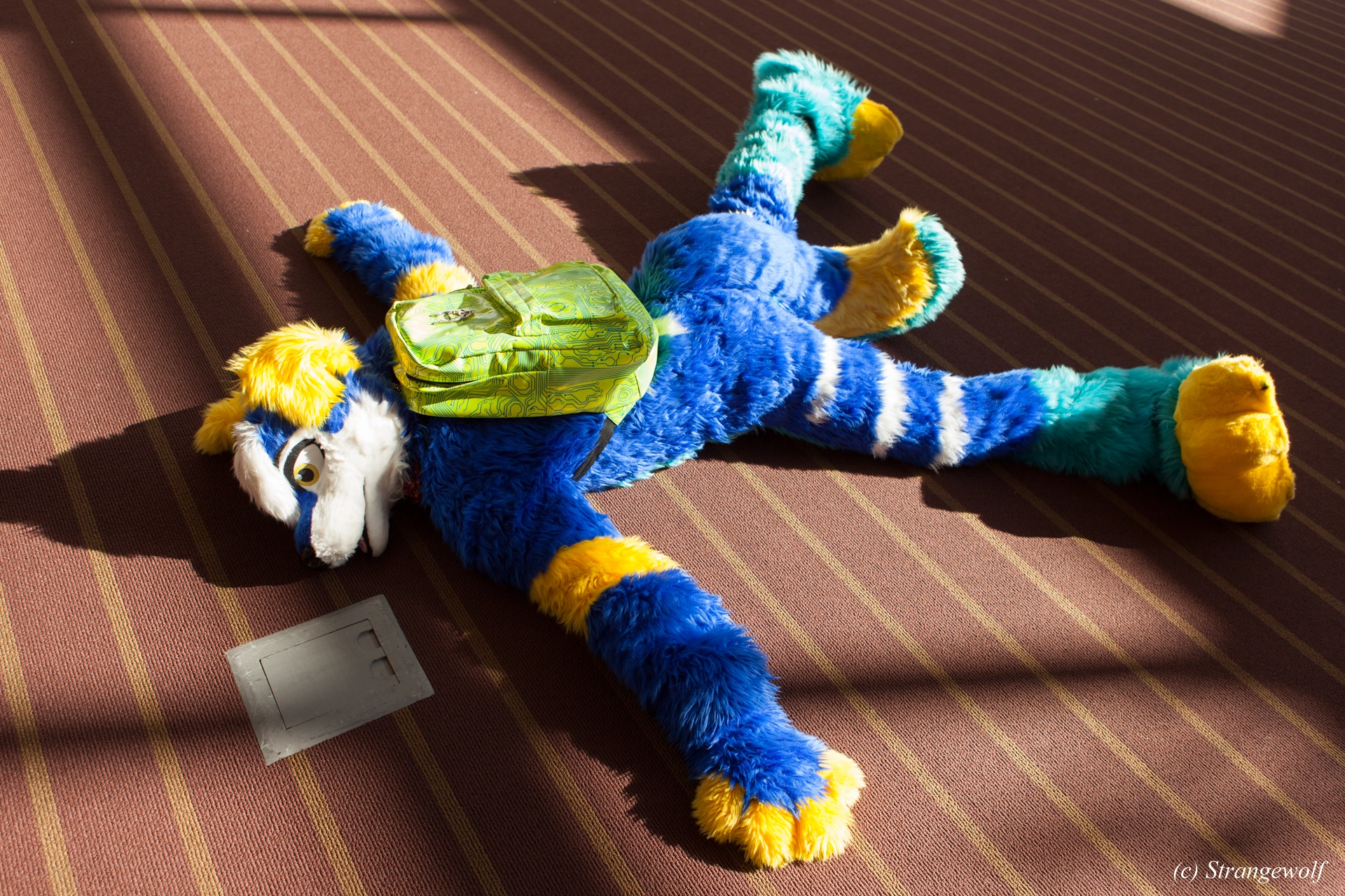 full image IMG_4380-lr19t.jpg