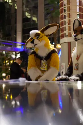 IMG_9086-lr19t.jpg of NFC/NFC2019/