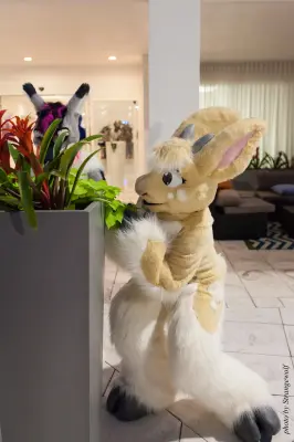 IMG_8460-lr16t.jpg of ESG/ESG2015/