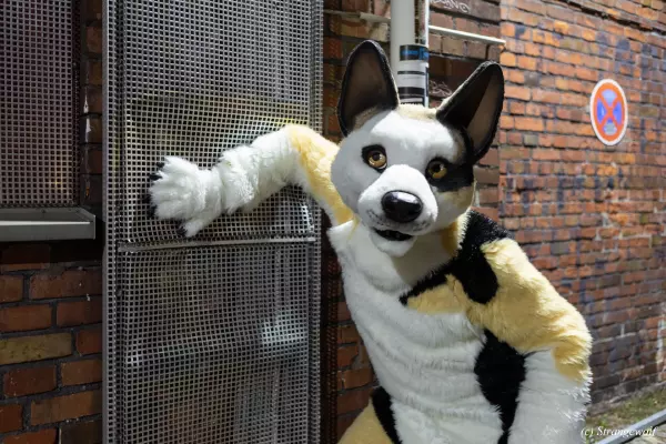 1R3A2627-lr19t.jpg of Furstrike/Furstrike 2022/