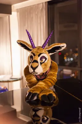 IMG_2334-lr19t.jpg of FWA/FWA2018/