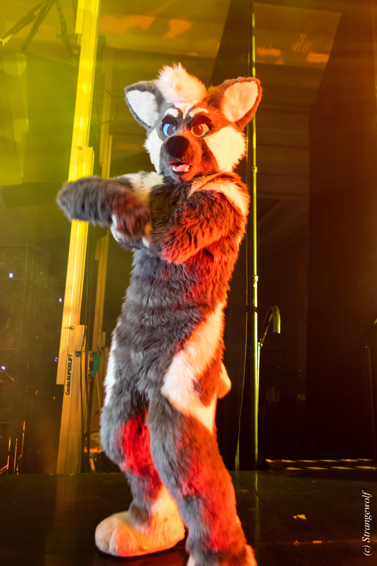 full image 1R3A4875-lr19t.jpg