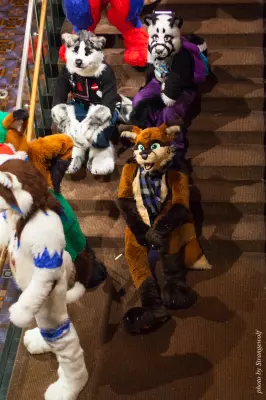 IMG_0923-lr16t.jpg of MFF/MFF2016/