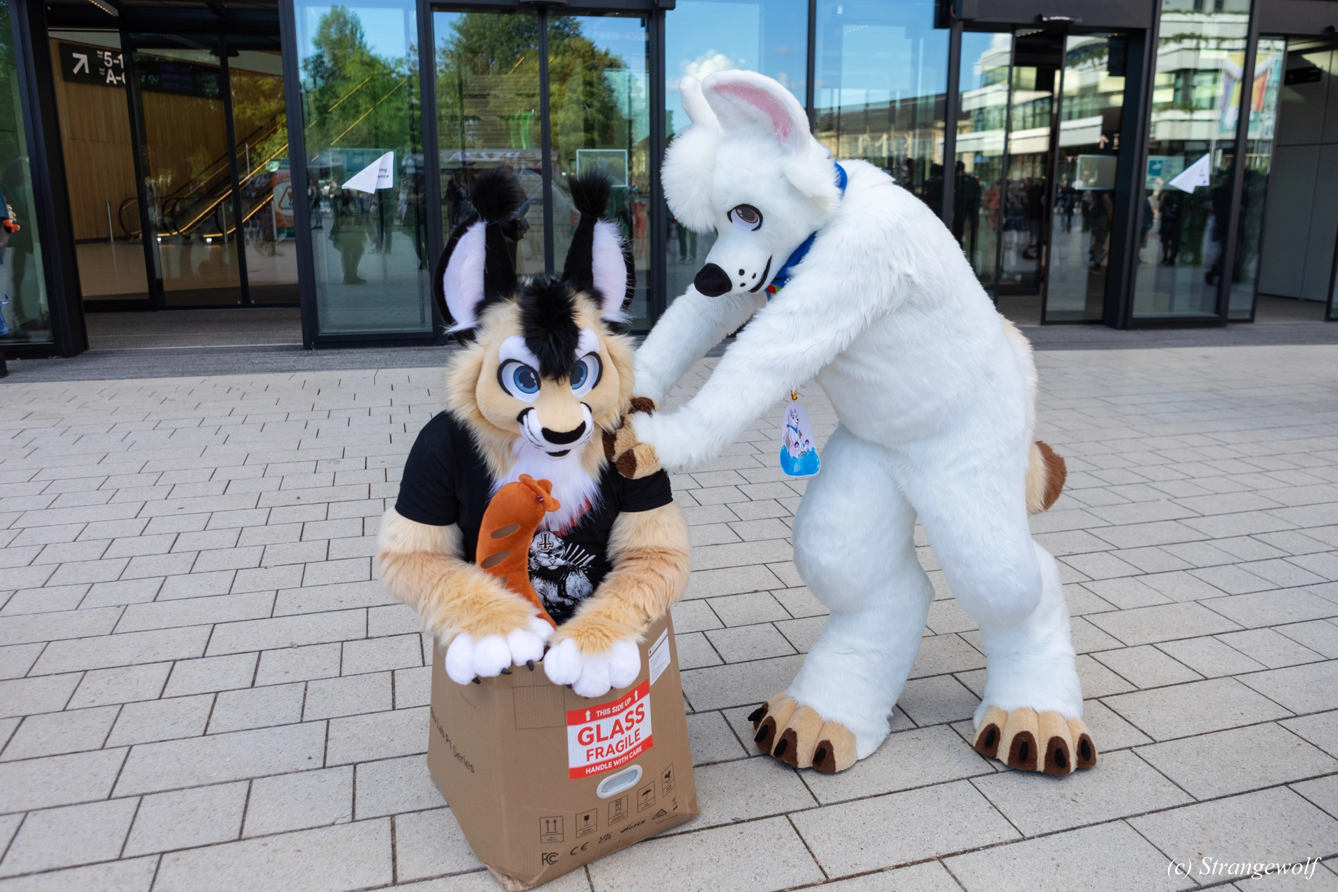 full image 1R3A9294-lr19t.jpg