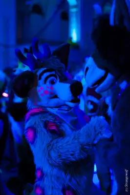 IMG_3015-lr19t.jpg of ANE/ANE2022/