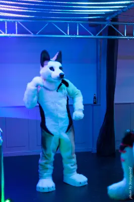 IMG_5392-lr16t.jpg of DFD/DFD2017/