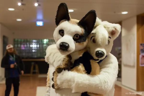 IMG_9174-lr19t.jpg of NFC/NFC2019/