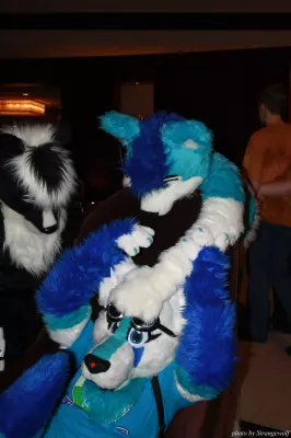 IMG_0848-lr.jpg of MFF/MFF2013/