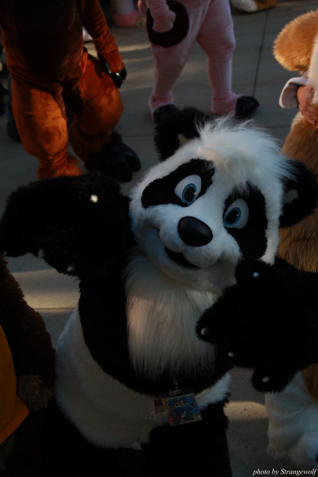 full image IMG_0664-lr.jpg