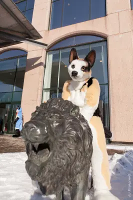 IMG_9561-lr19t.jpg of NFC/NFC2018/