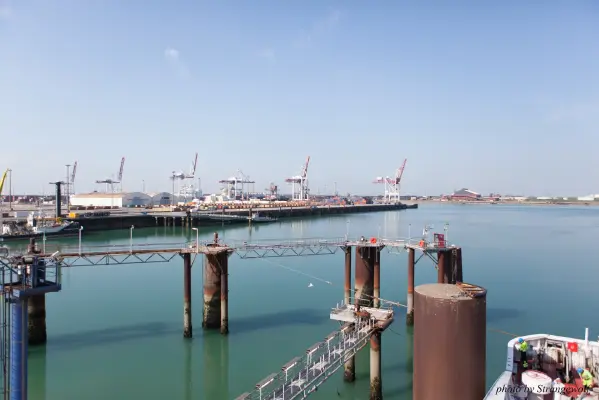 IMG_7114-lr16t.jpg of CFZ/CFZ2016/