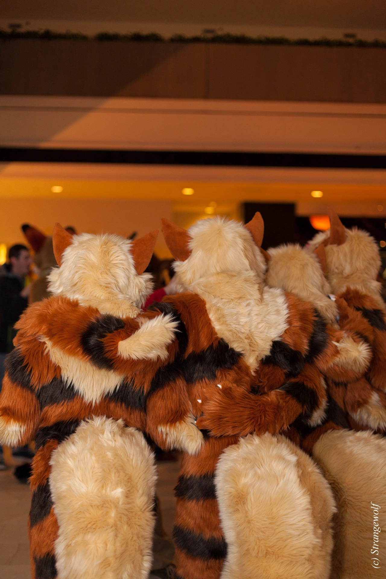 full image IMG_7151-lr19t.jpg