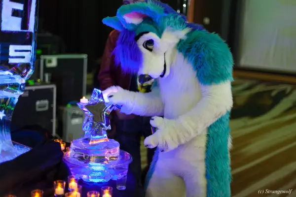 IMG_2089-lr19t.jpg of FWA/FWA2018/