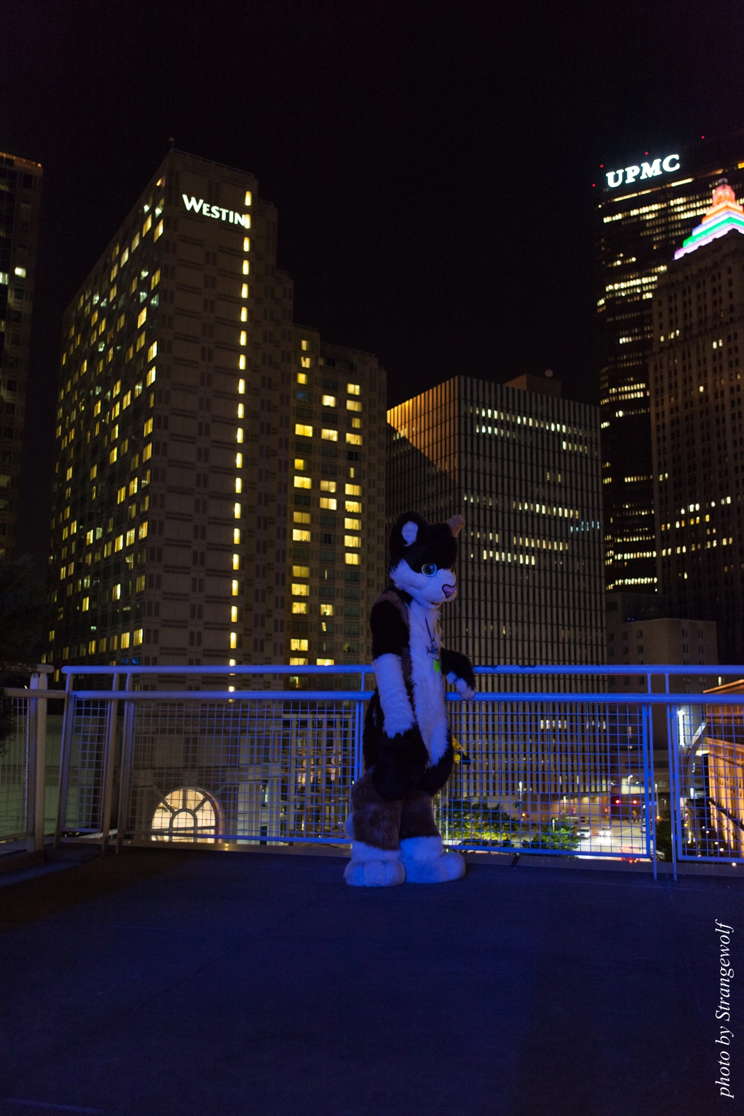 full image IMG_4005-lr16t.jpg