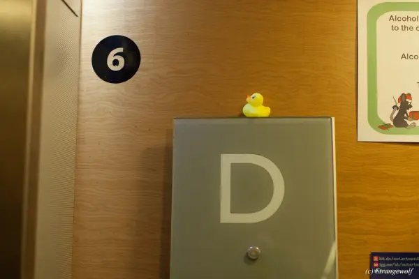 IMG_9069-lr19t.jpg of NFC/NFC2019/