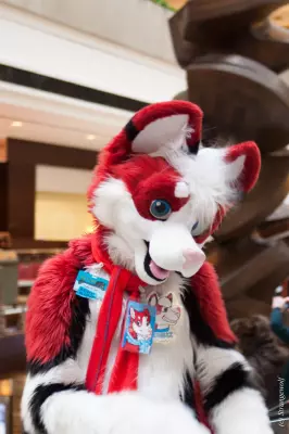 IMG_8525-lr19t.jpg of MFF/MFF2017/