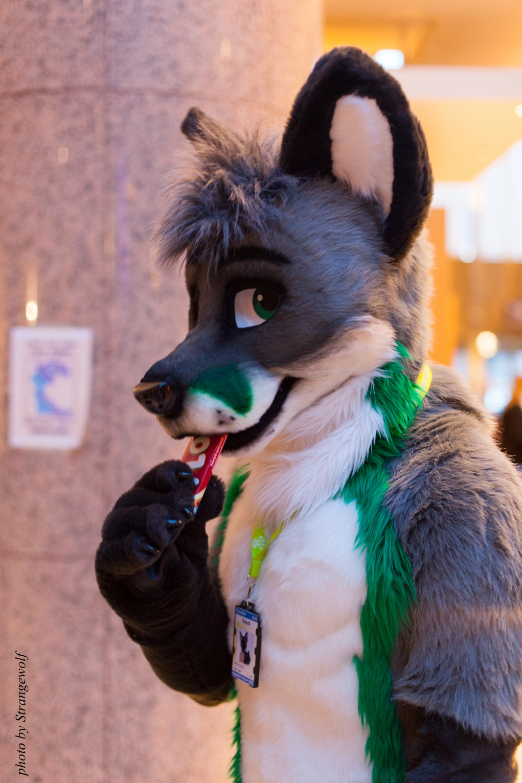 full image IMG_2156-lr16t.jpg