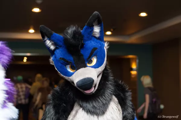 IMG_2692-lr19t.jpg of BLFC/2019/Fotoshoot-Slate/