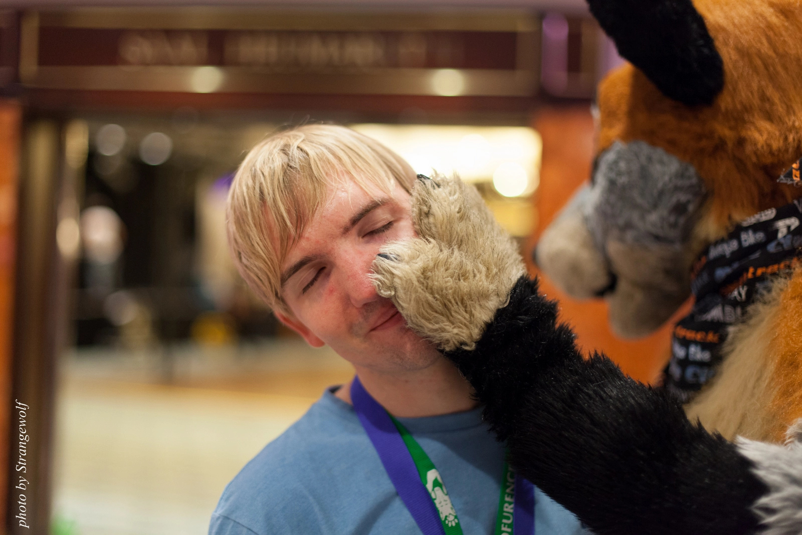 full image IMG_8860-lr16t.jpg