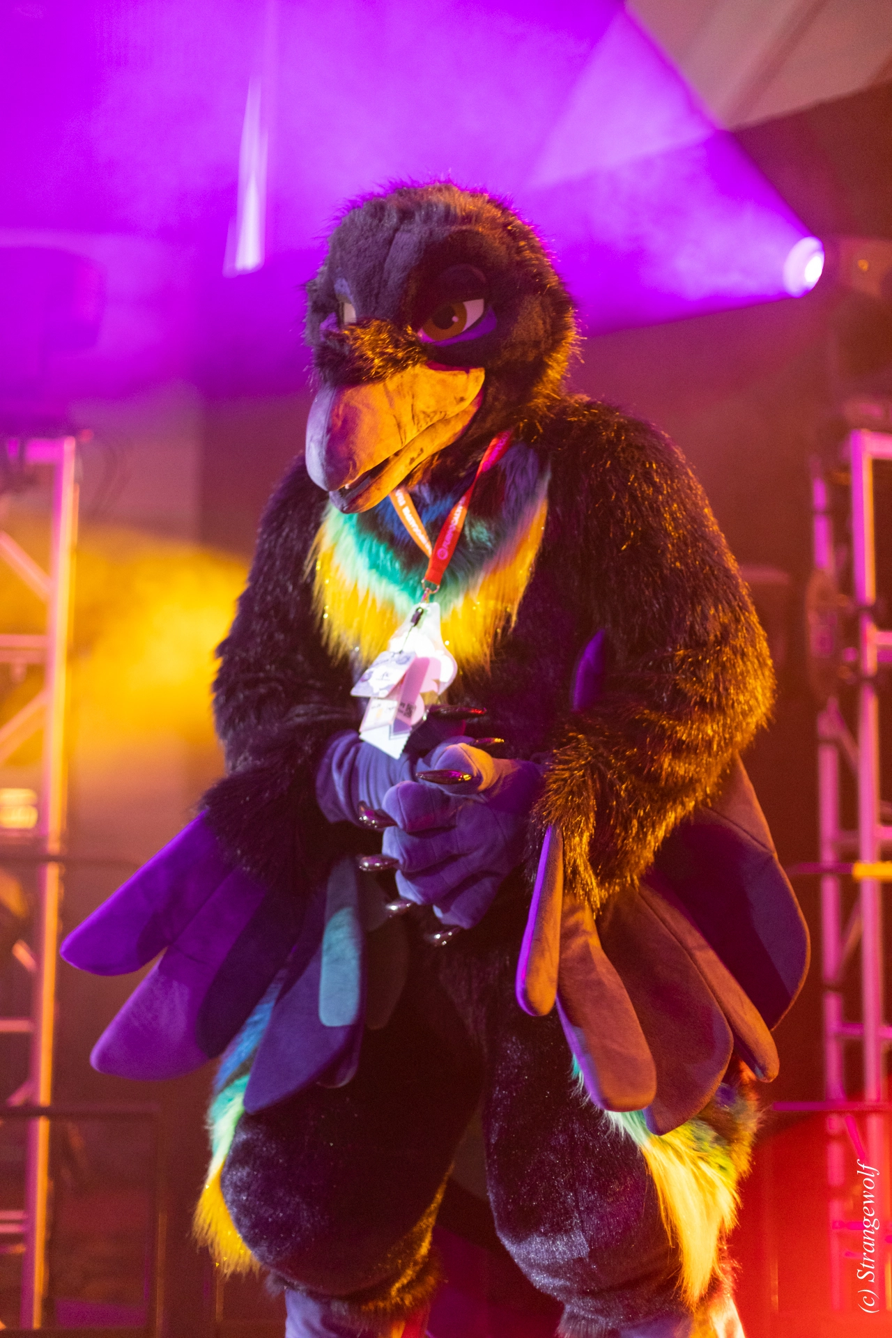 full image 1R3A0698-lr19t.jpg