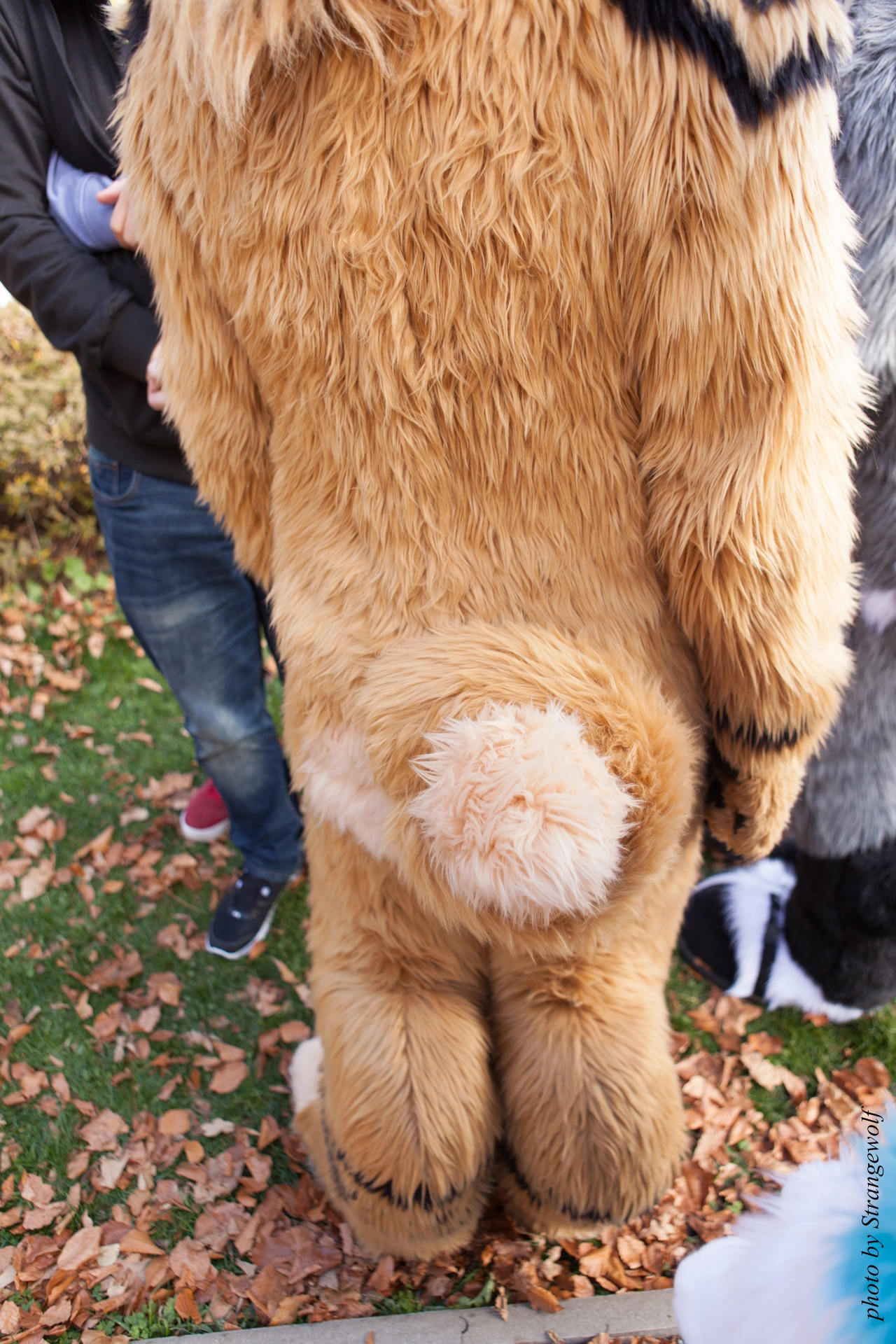 full image IMG_7889-lr19t.jpg